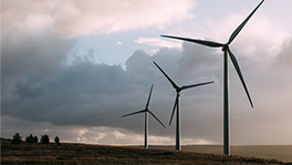 United Arab Emirates To Expand The Use Of Renewable Energy